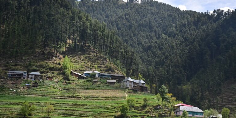 A Guide to a Magical Valley in the Himalayas: Janjehli – The Traveller ...