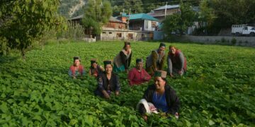 Natural Farming Can Give New Footing To Tourism In Himachal Pradesh