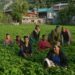 Natural Farming Can Give New Footing To Tourism In Himachal Pradesh