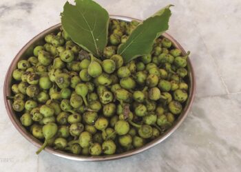 Unlocking Wild Food Plants Can Herald Culinary Tourism