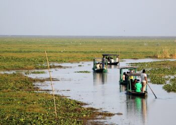 The Magic Of Mangalajodi-Chilika Lake