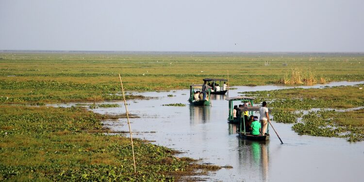 The Magic Of Mangalajodi-Chilika Lake