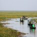 The Magic Of Mangalajodi-Chilika Lake