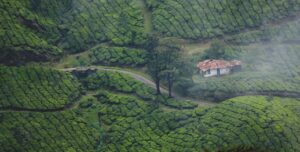 Five Must Visit Destinations In Kerala-Munnar
