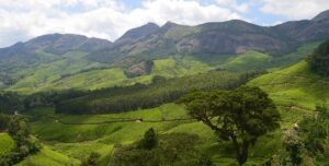 Five Must Visit Destinations In Kerala-Munnar_2