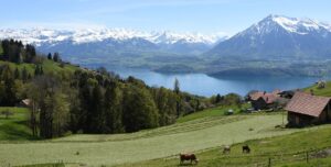 5 Beautiful Lakes In Switzerland You Don’t Want To Miss_Lake Thun-1