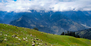 10 Best Summer Destinations In North India_Manali