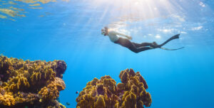 10 Essential Tips For Safe And Thrilling Adventure Sports This Summer_Underwater Diving