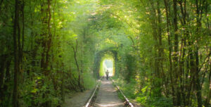 5 of the World's Most Unique Railway Routes_Tunnel of Love_Ukraine