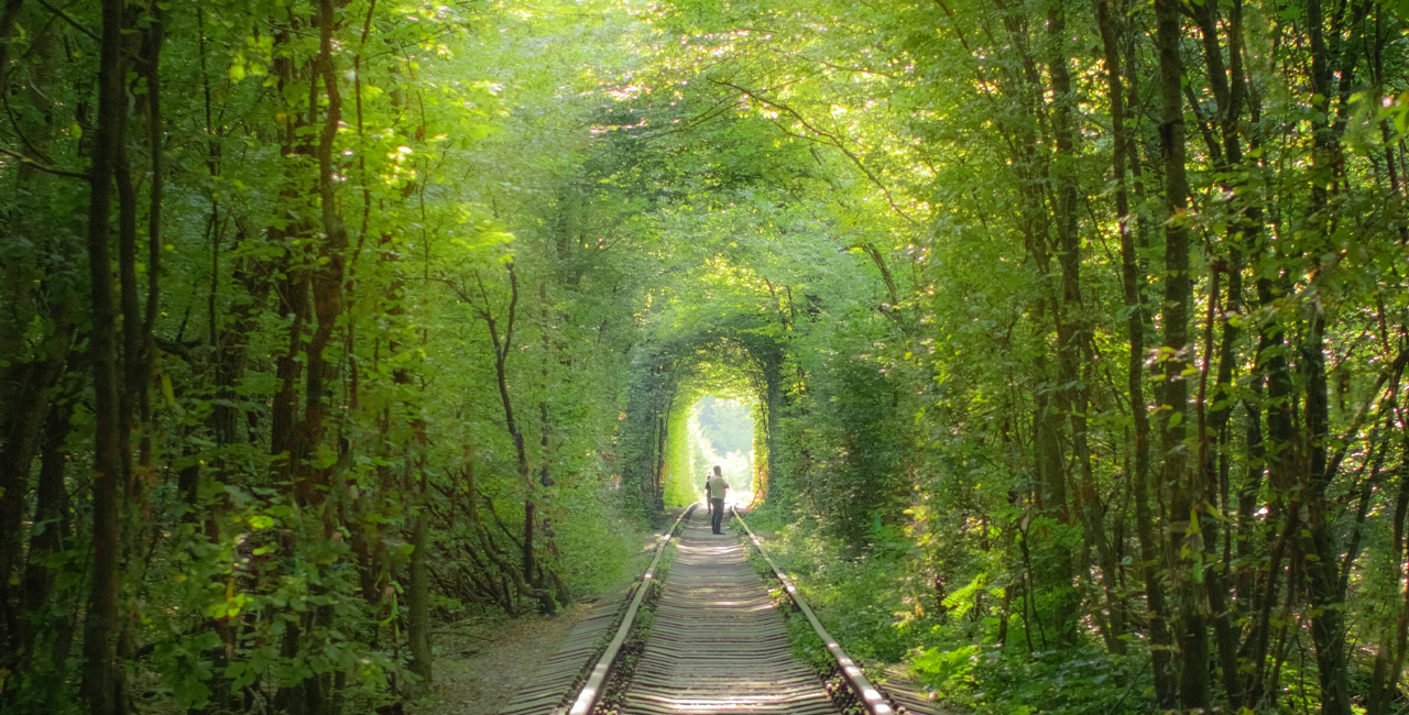 5 Of The World’s Most Unique Railway Routes – The Traveller Trails