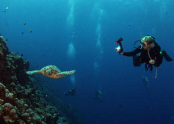 Best Scuba Diving Sites In India
