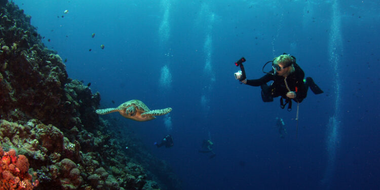 Best Scuba Diving Sites In India