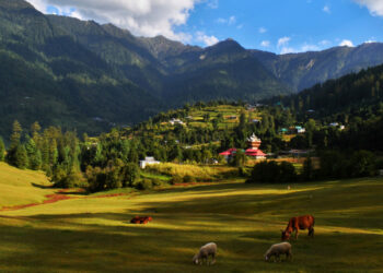 Himachal May Soon Have A New Tourism Policy