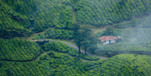 Soak In The Magic Of Monsoon At These Ten Stunning Places In India_Munnar_2
