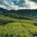 India Unlocks Northeastern States for Foreign Travellers_2