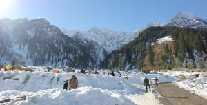 Best Places to Visit in Himachal in January_Manali