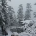 Best Places to Visit in Himachal in January_Shimla_3