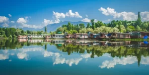 Top Searched Destinations by Indians_Srinagar