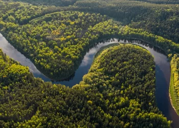 Top 9 Countries with the Most Majestic River Networks_Amazon_Brazil
