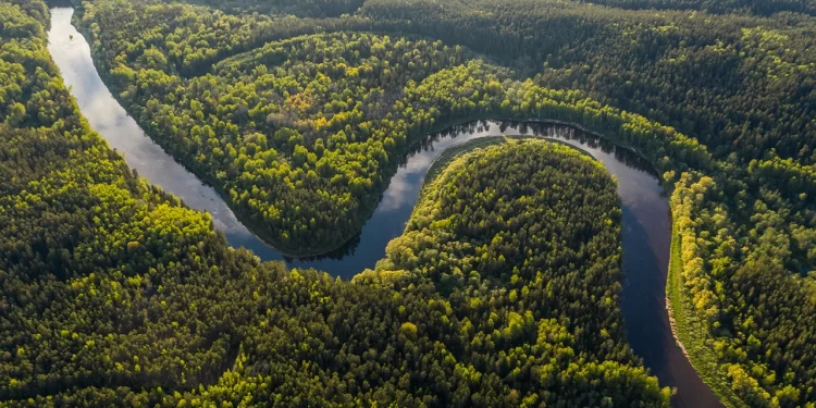 Top 9 Countries with the Most Majestic River Networks_Amazon_Brazil