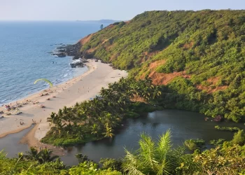 Goa Tourism Sector Slams Proposed 2% Sustainability Fee, Calls for Rethink