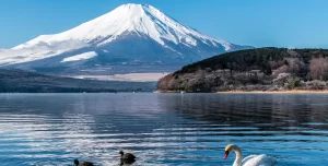 Japan Introduces New Measures To Manage Summer Crowds On Mount Fuji_2