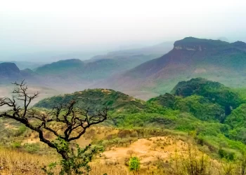 All-Women Team To Run Hotel Amaltas In Pachmarhi