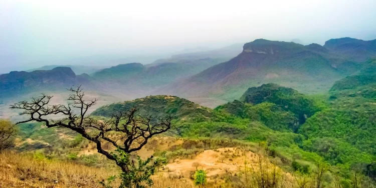 All-Women Team To Run Hotel Amaltas In Pachmarhi