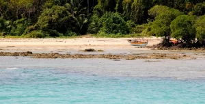 Andaman - Isles of Paradise_Neil Island_2