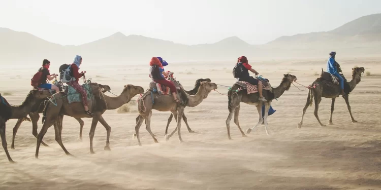 Global Travel Sees 96% Recovery in First Seven Months of 2024