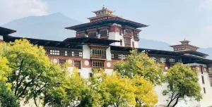 Five Cross-Border Road Trips You Can Take From India_Bhutan