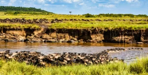 Top 5 Safari Adventures To Fuel Your Spirit-Maasai Mara Reserve_Kenya