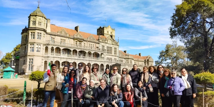 The Institute, The Lodge, And The View