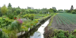 Unearthing Europe's Most Extraordinary Green Spaces_The Floating Gardens of Amiens_France