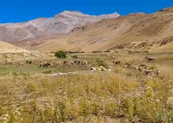 Himachal’s Cold Desert Gets UNESCO Biosphere Reserve Tag
