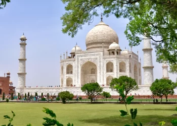 India Records 20.6 Million International Tourists In 2024, Diaspora Drives Recovery