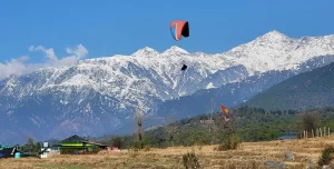 Paragliding In Bir-Billing To Resume From September 16 After Two-Month Monsoon Ban