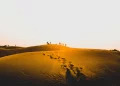 Thar Desert Travel Guide-Top Attractions, Activities, And Travel Tips_3