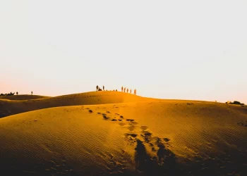 Thar Desert Travel Guide-Top Attractions, Activities, And Travel Tips_3
