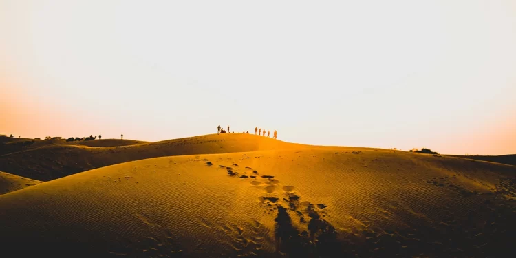 Thar Desert Travel Guide-Top Attractions, Activities, And Travel Tips_3