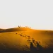 Thar Desert Travel Guide-Top Attractions, Activities, And Travel Tips_3