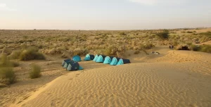 Thar Desert Travel Guide-Top Attractions, Activities, And Travel Tips_4