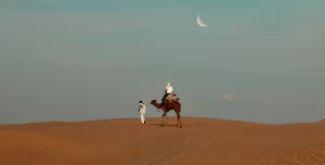 Thar Desert Travel Guide-Top Attractions, Activities, And Travel Tips_5