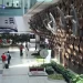 What travellers are eating and drinking at Indian Airports