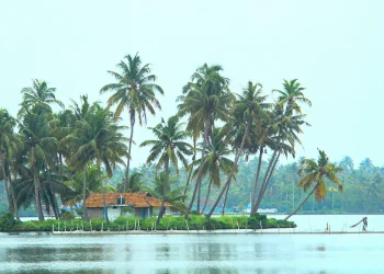 Kochi Included In Booking.com 2026 Global Travel List