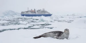 Polar Latitudes To add Discoverer For 2026–27 Antarctica Season-2