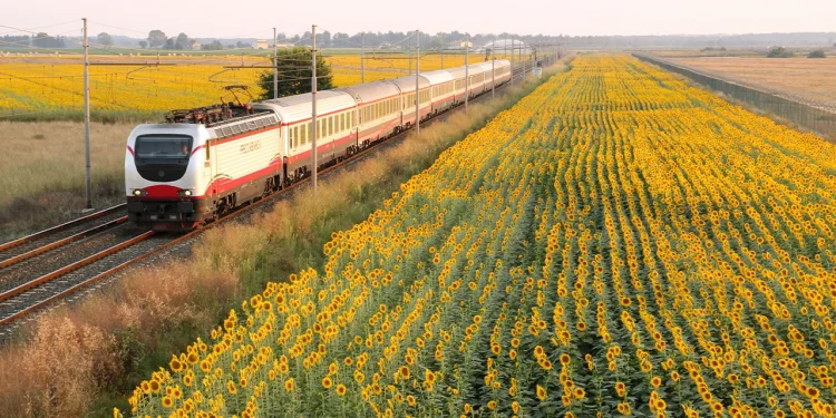 4 Things I Couldn’t Live Without on My Interrailing Trip